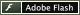  Adobe Flash Plug-in 